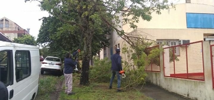 ´
arboles y ramas caidas por la tormenta en Posadas.