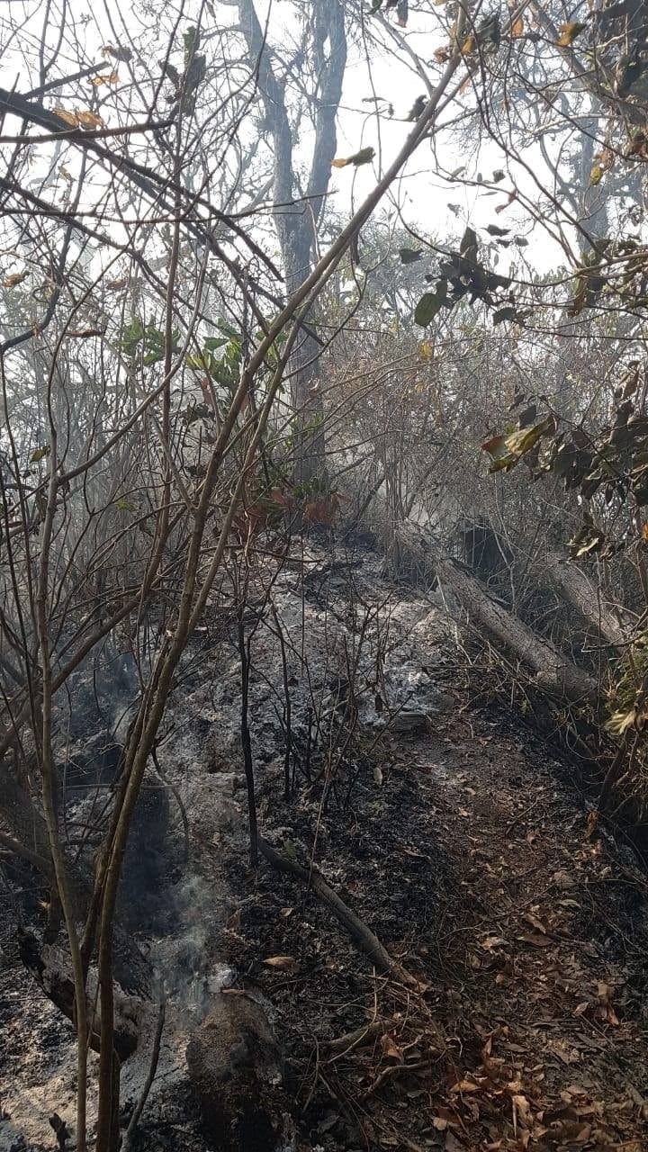 Bomberos voluntarios de Yerba Buena.