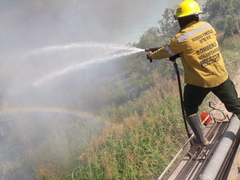 Bomberos Voluntarios- Incendio RN 12
Crédito: Bomberos Ceibas