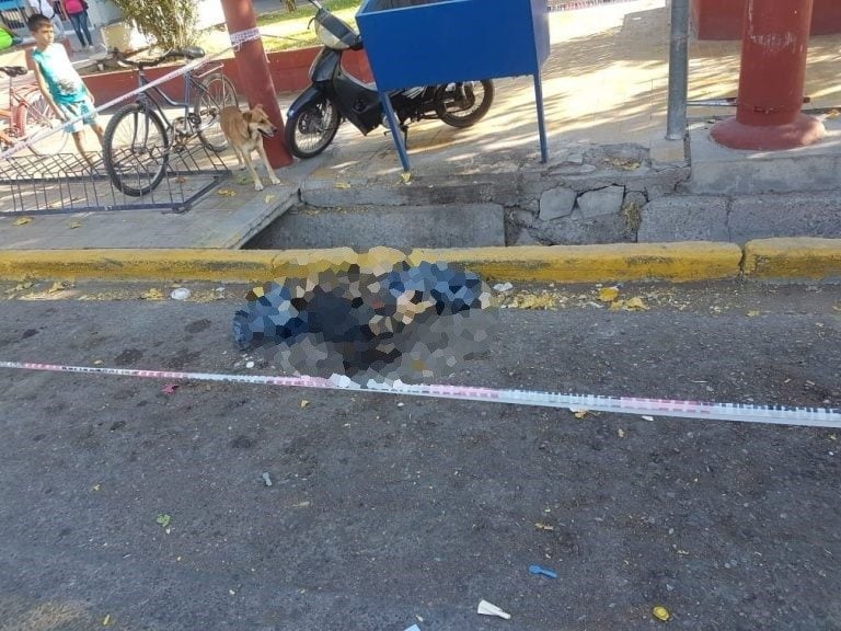 Preocupación por el hallazgo de perros muertos en una zona transitada de San Juan.