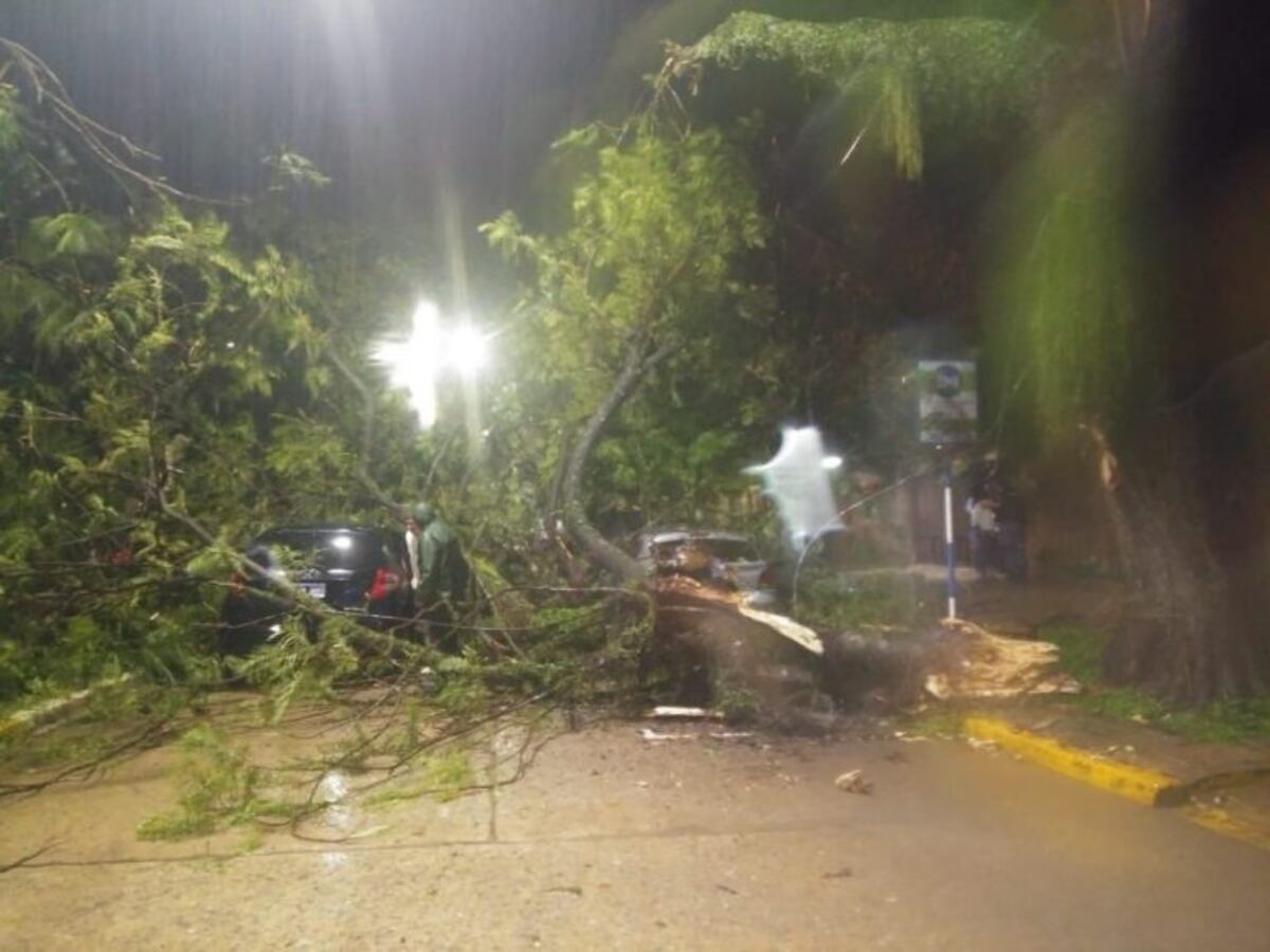 Resistencia: violento temporal azotó la ciudad