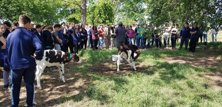 El picnic, el cierre de la jornada.  (Prensa INTA Rafaela)