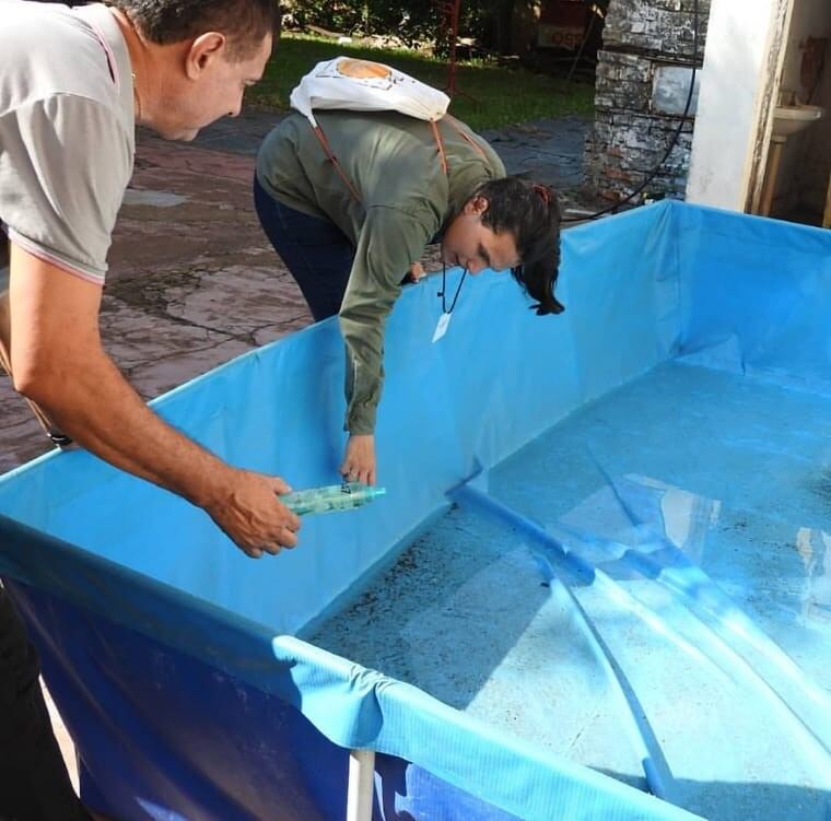 Donde hay agua acumulada los mosquitos Aedes Aegypti dejan sus huevos.