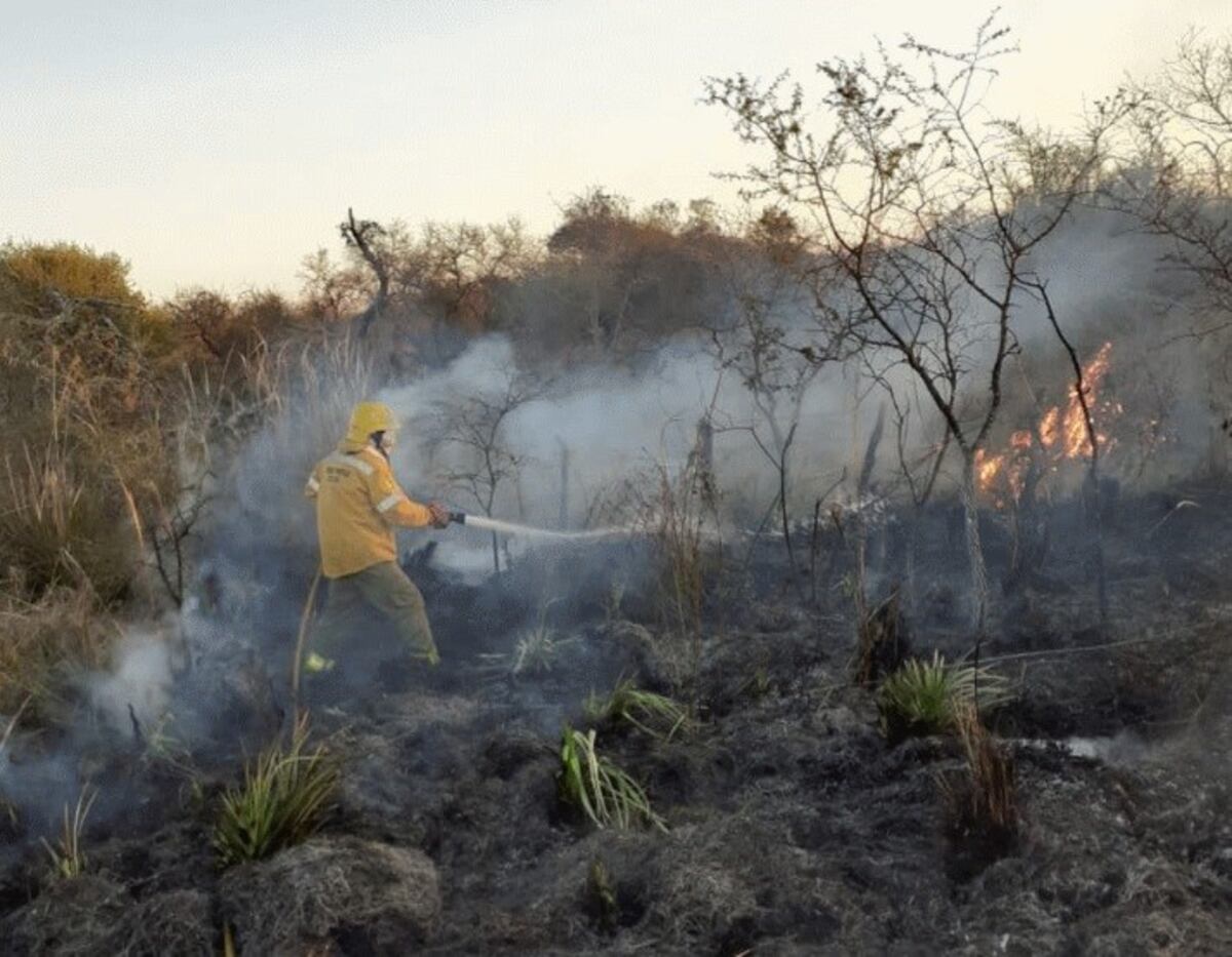 Nuevos incendios forestales en Feliciano