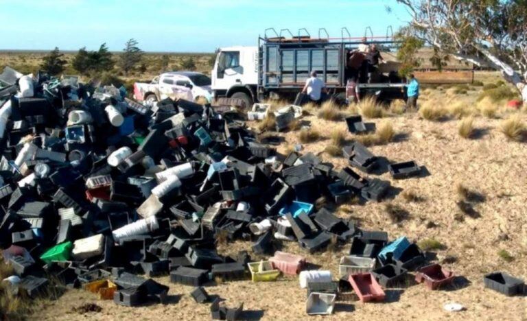 Más de 4.000 mil cajones de la pesca llegaron a las costas de la Península de Valdés.