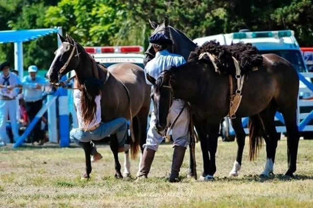 Victoria Rovetto, con 12 años, es amansadora de caballos en General Cabrera, Córdoba, y su técnica es furor en cada encuentro de animales de este tipo en el interior.