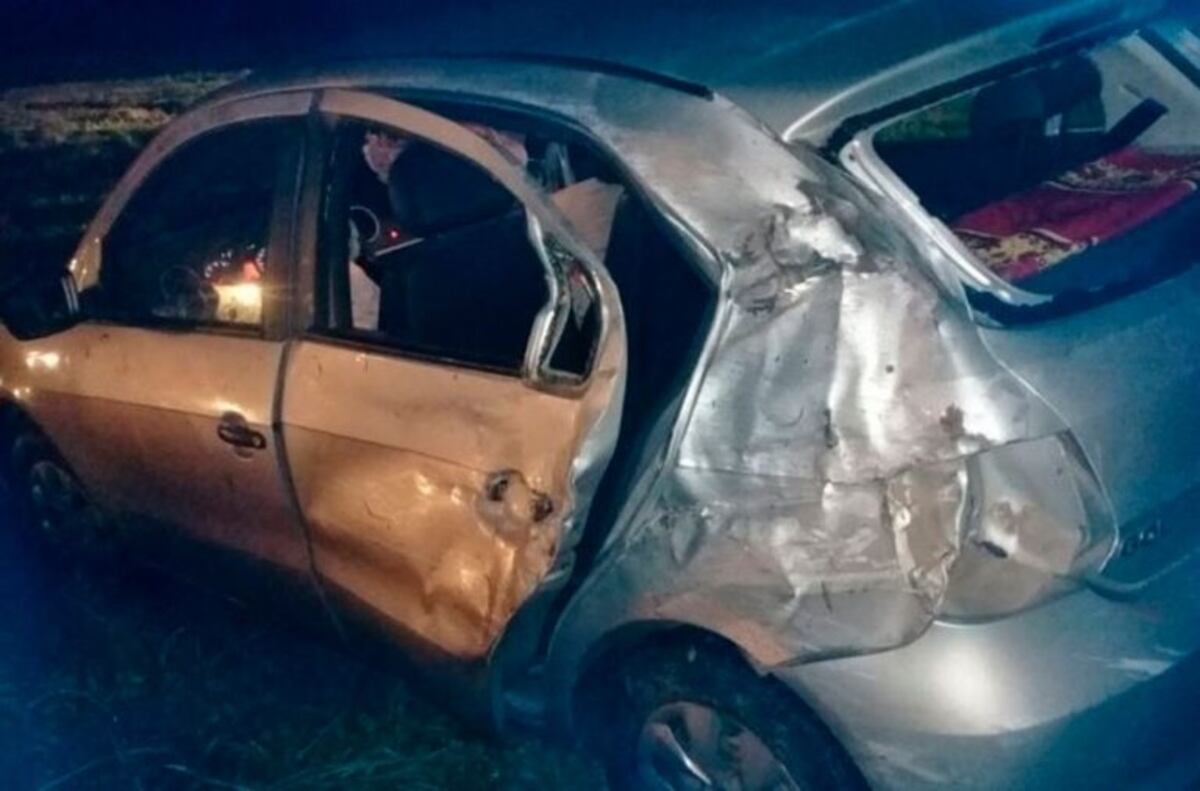 Falleció la mujer herida en el triple choque de la autopista por un chancho suelto