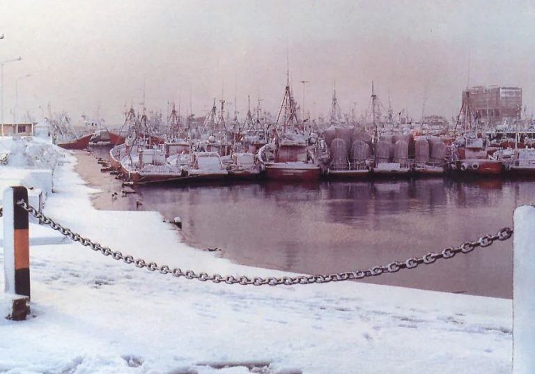 El puerto de Mardel cubierto de nieve (La Capital).