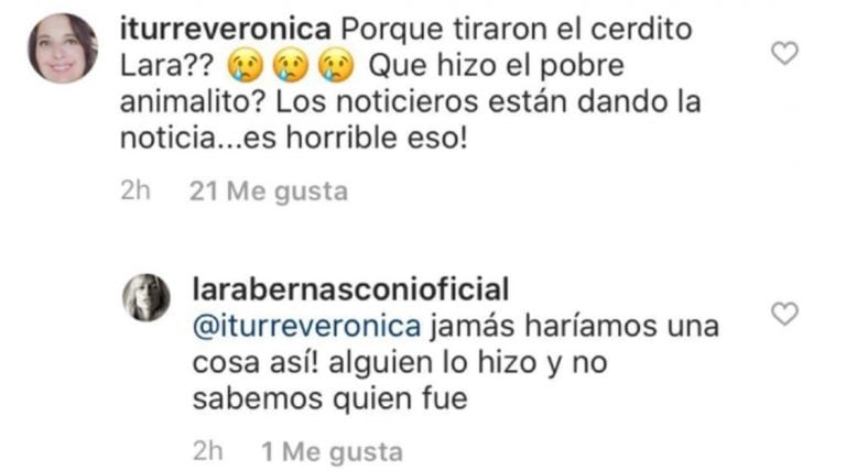 La respuesta de Lara Bernasconi a una usuaria de Twitter (Foto: captura)