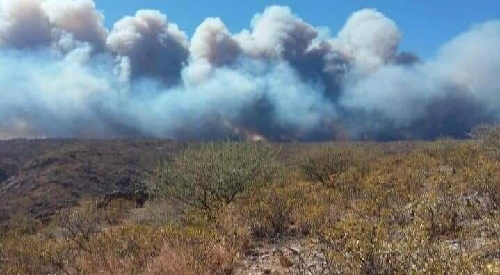 Incendios en la zona norte de Punilla. (Foto: Claudia Cepeda).