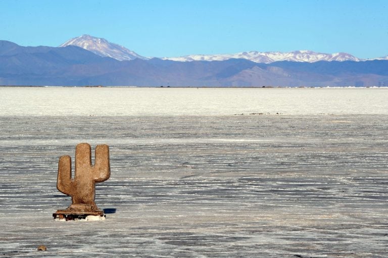 Picture taken on July 12, 2011 at Salinas Grandes (Big Salt Pans), one of Argentina's greatest depressions with an exposed surface of over 12,000 hectares of salt at 3450 m above sea level, some 190 km from San Salvador de Jujuy, in the Argentine provinces of Jujuy and Salta.  AFP PHOTO/Evaristo SA
 jujuy  jujuy salinas grandes salar salares sal