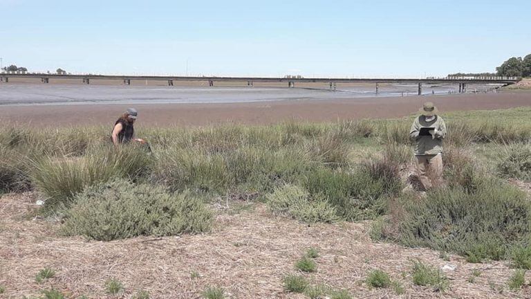 Jornada de limpieza del humedal de Arroyo Pareja