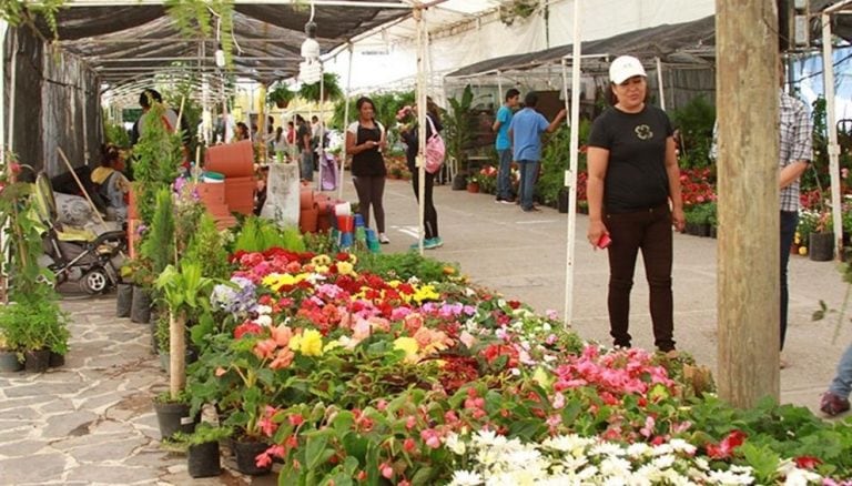 Fiesta de la Flor. (El Tribuno)