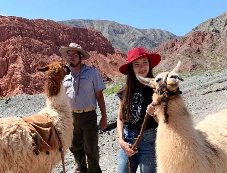 Singulares personajes resultaron en el recorrido las llamas de Purmamarca.