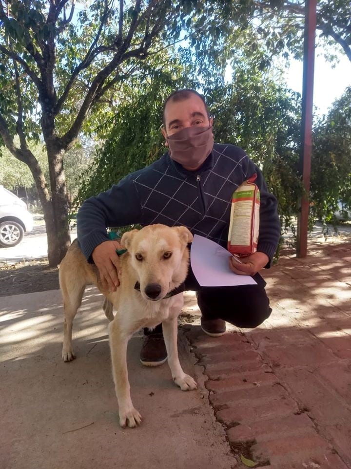 "Blanquita" en brazos del vecino humano que la adoptó hace pocos días. (Foto: Facebook / Muni Mascotas).