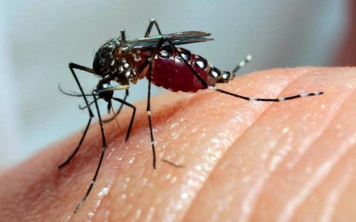 Detectan un posible caso de dengue en Córdoba