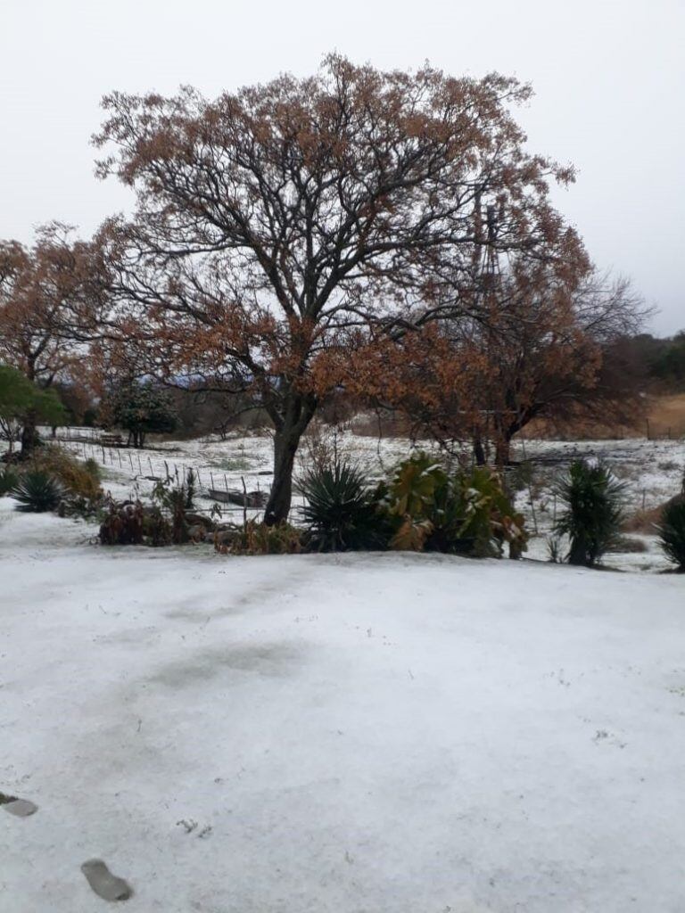 Nieve en Los Pozos (Gentileza Mas Radio)