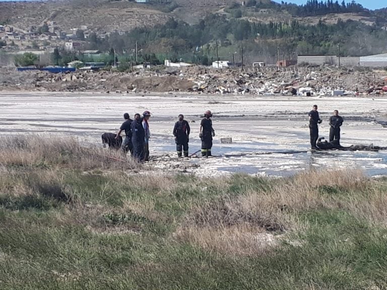 Defensa Civil y Bomberos trabajaron en el rescate.