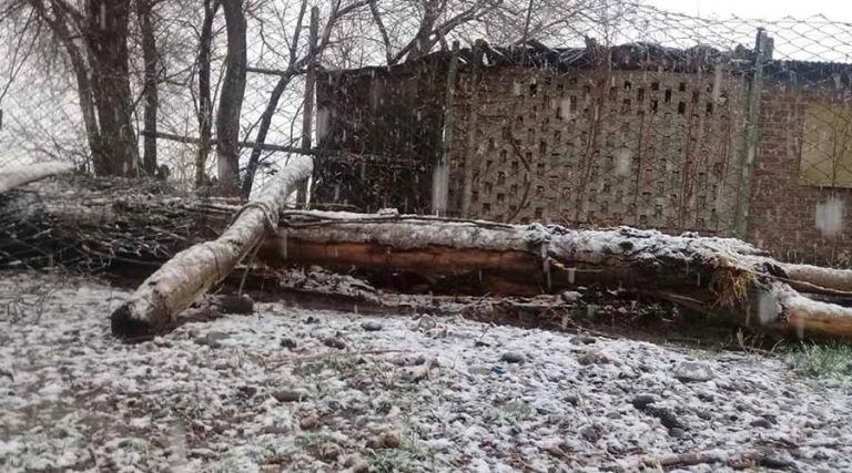 Las nevadas comenzaron alrededor de las 9 de la mañana (Diario Textual)