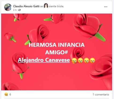 Amigos se despidieron en las redes de Alejandro Canavesse