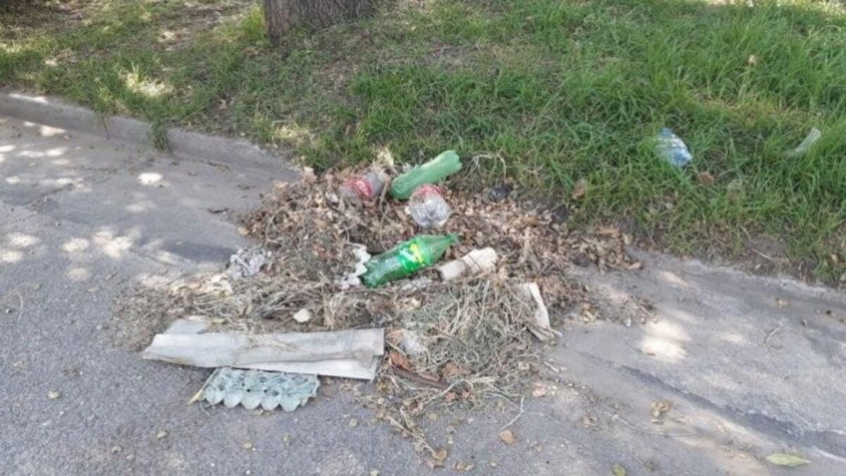 Fue hallado el carnet de la obra social de Claudia Repetto en un basural