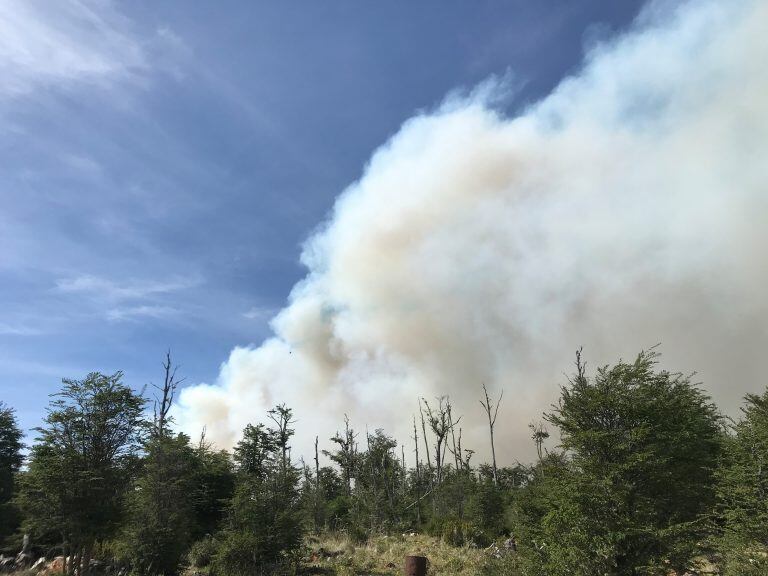 Columna de humo en la empresa Lenga Patagonia S.A. Tolhuin, Tierra del Fuego