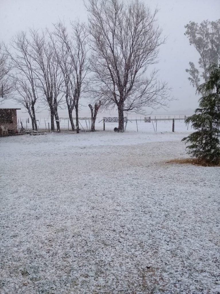 Las nevadas llegaron al sur provincia y agosto se despide con un paisaje vestido de blanco.