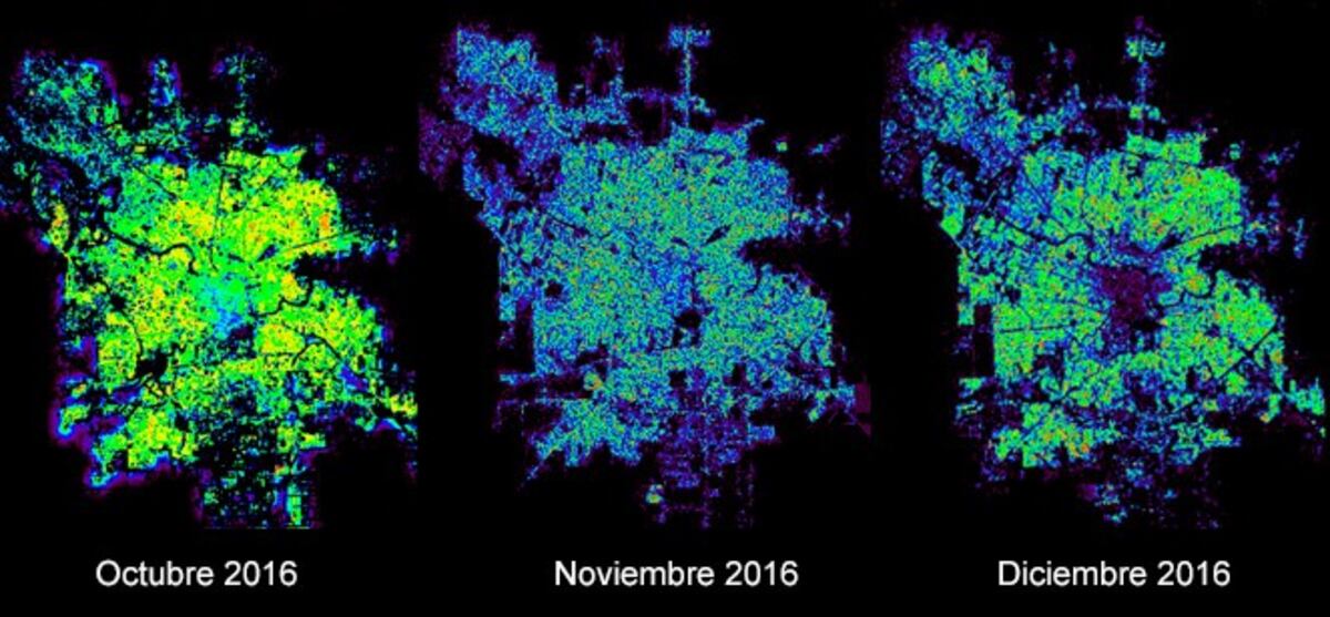 Enfermedades transmitidas por el mosquito en Córdoba: así se elaboran los mapas de riesgo