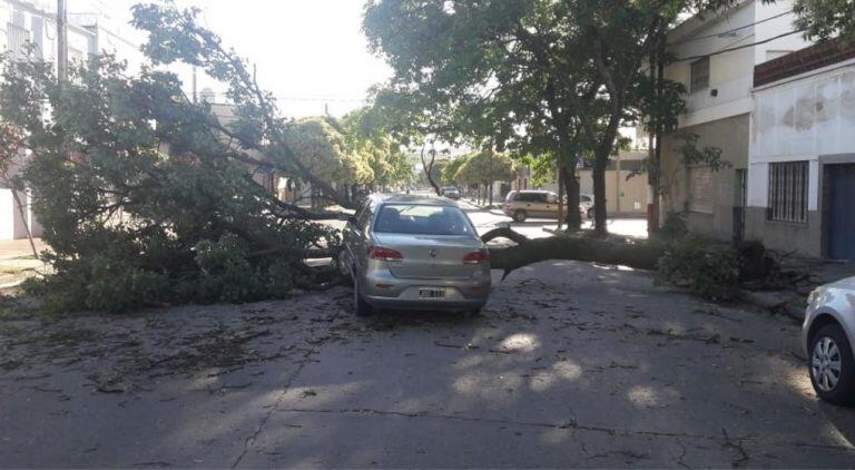 Ecos del temporal.