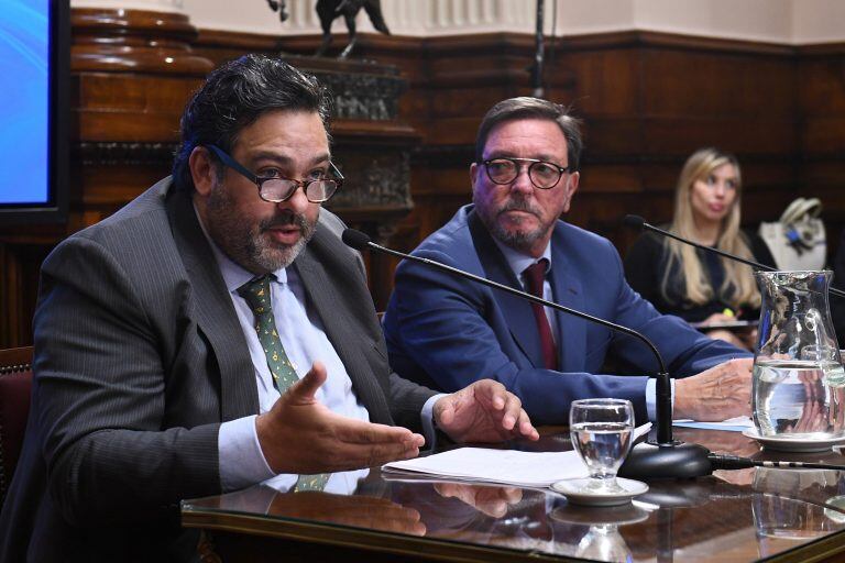 Guastavino (Nuevo Código Penal)
Crédito: prensa senador