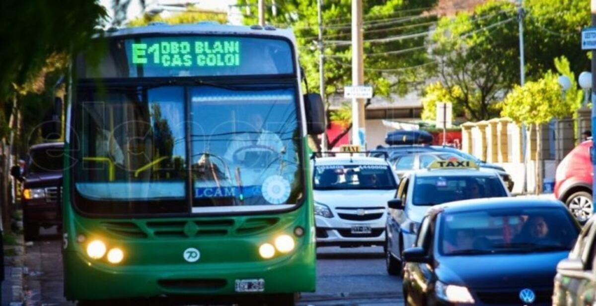 Continúa el paro de Transpuntano