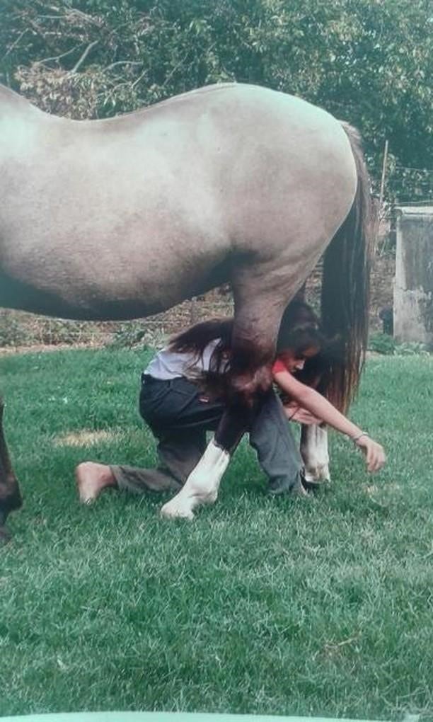 Victoria Rovetto, con 12 años, es amansadora de caballos en General Cabrera, Córdoba, y su técnica es furor en cada encuentro de animales de este tipo en el interior.