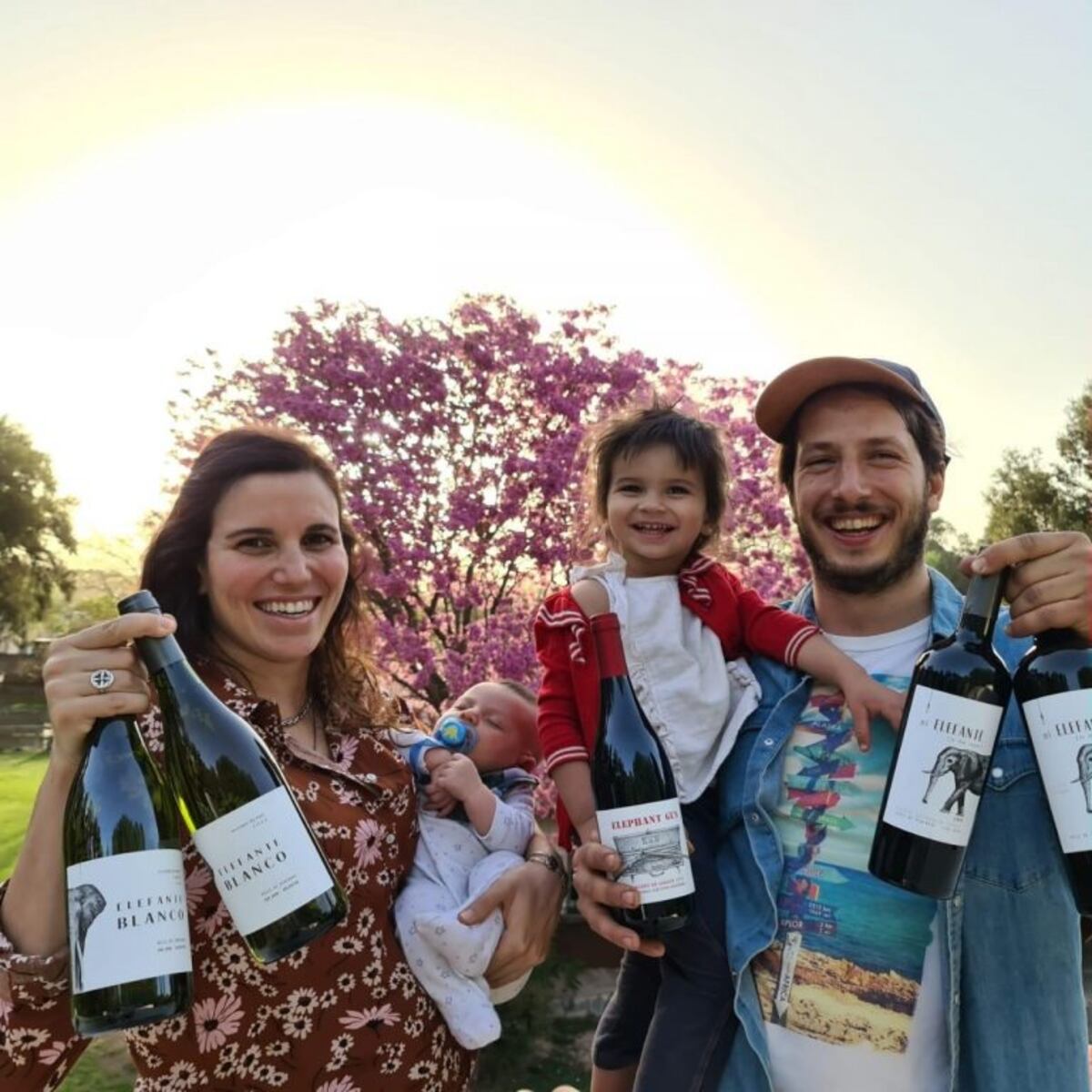 Elaboran vinos en el garaje de su casa y son furor en Mendoza y San Juan
