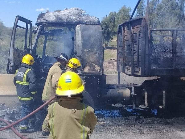 Un camión se prendió fuego en una avenida puntana.