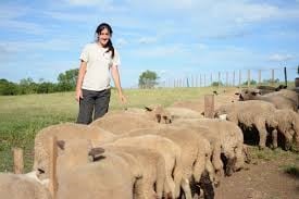 María Eugenia De La Cruz, una de las especialistas en la cría de la raza Hampshire Down, que se cruzan con las majadas locales. (Julieta Padula)