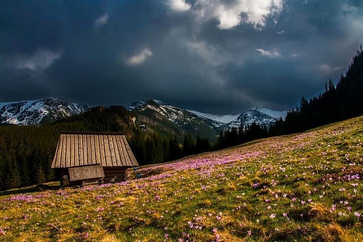 ​Somos lo que hace brillar y también
lo que mata un horizonte cuando oscurece.