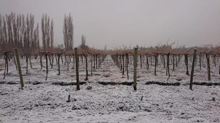 Famatina - La Rioja