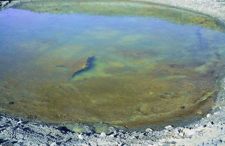 La Universidad Autónoma de Madrid, muestra un 
lago en la Antártida halló el fondo tapizado de cianobacterias en un lago de la Antártida. El cambio climático provocará alteraciones en los tapetes microbianos del Ártico y la Antártida que podrían llegar a modificar completamente los ecosistemas polares. (EFE)