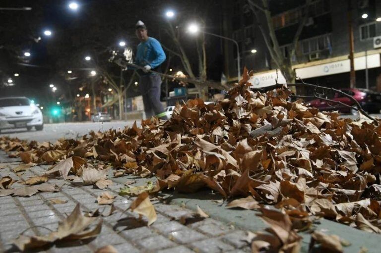 El Zonda dejó más de 150 árboles caídos, incendios y daños estructurales en viviendas y autos.