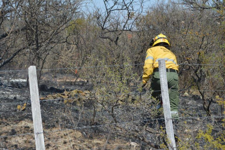 Incendio en el camino de Los Artesanos