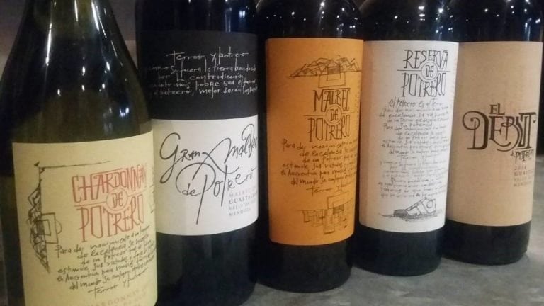 Vinos del Potrero de Nicolás Burdisso.