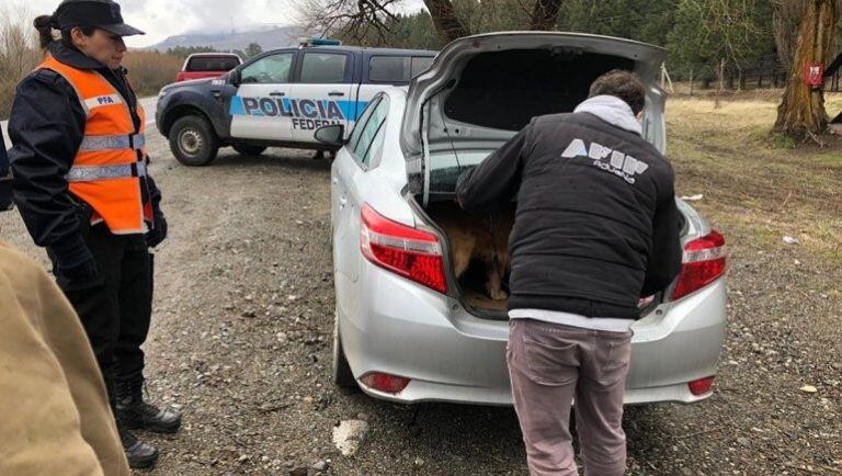 La mujer fue detenida y enviada a las oficinas de la Aduana en San Martín de los Andes (lmneuquén).