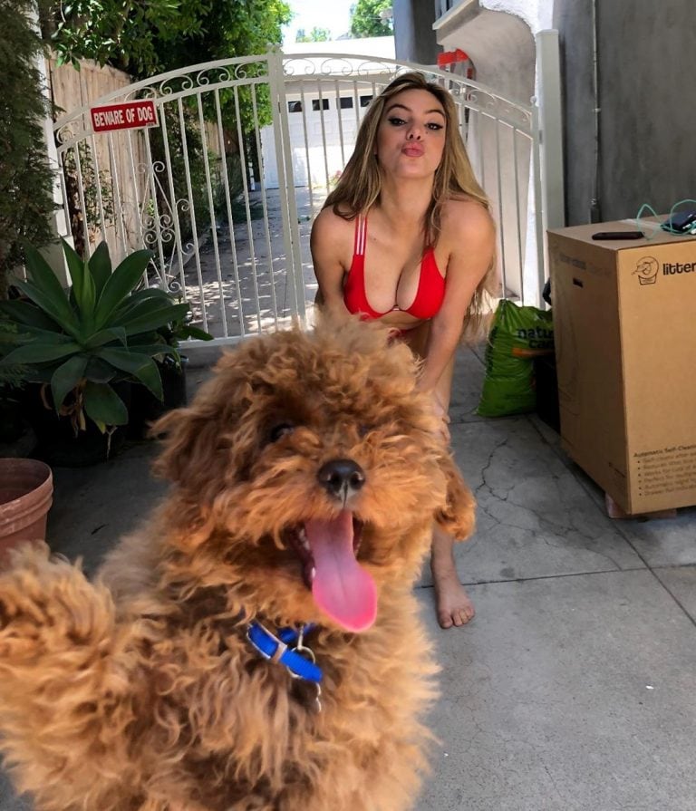 Lele Pons