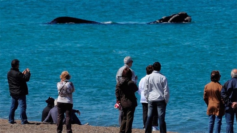 Las bellezas de Chubut al mundo.