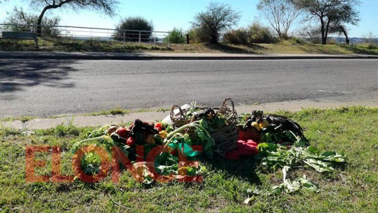 Tras gallos muertos: realizaron un supuesto "ritual satánico" en la zona del Parque Nuevo de Paraná. Fotos: ElOnce.