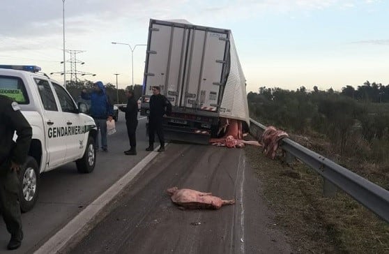 Camión de desfondó y los cerdos faenados quedaron sobre la calzada. (LT9)