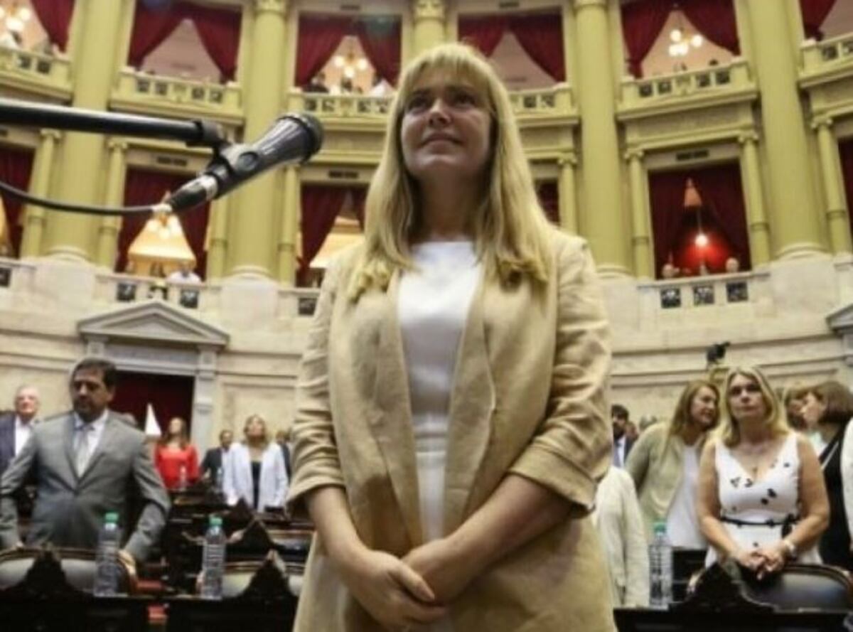 El polémico discurso de la diputada correntina Estela Regidor en contra del aborto