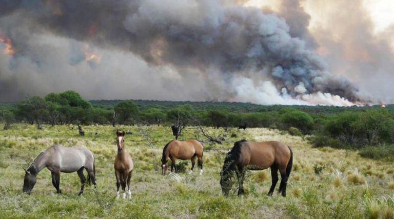 Las llamas estaban controladas pero el viento las reavivó (Infohuella)