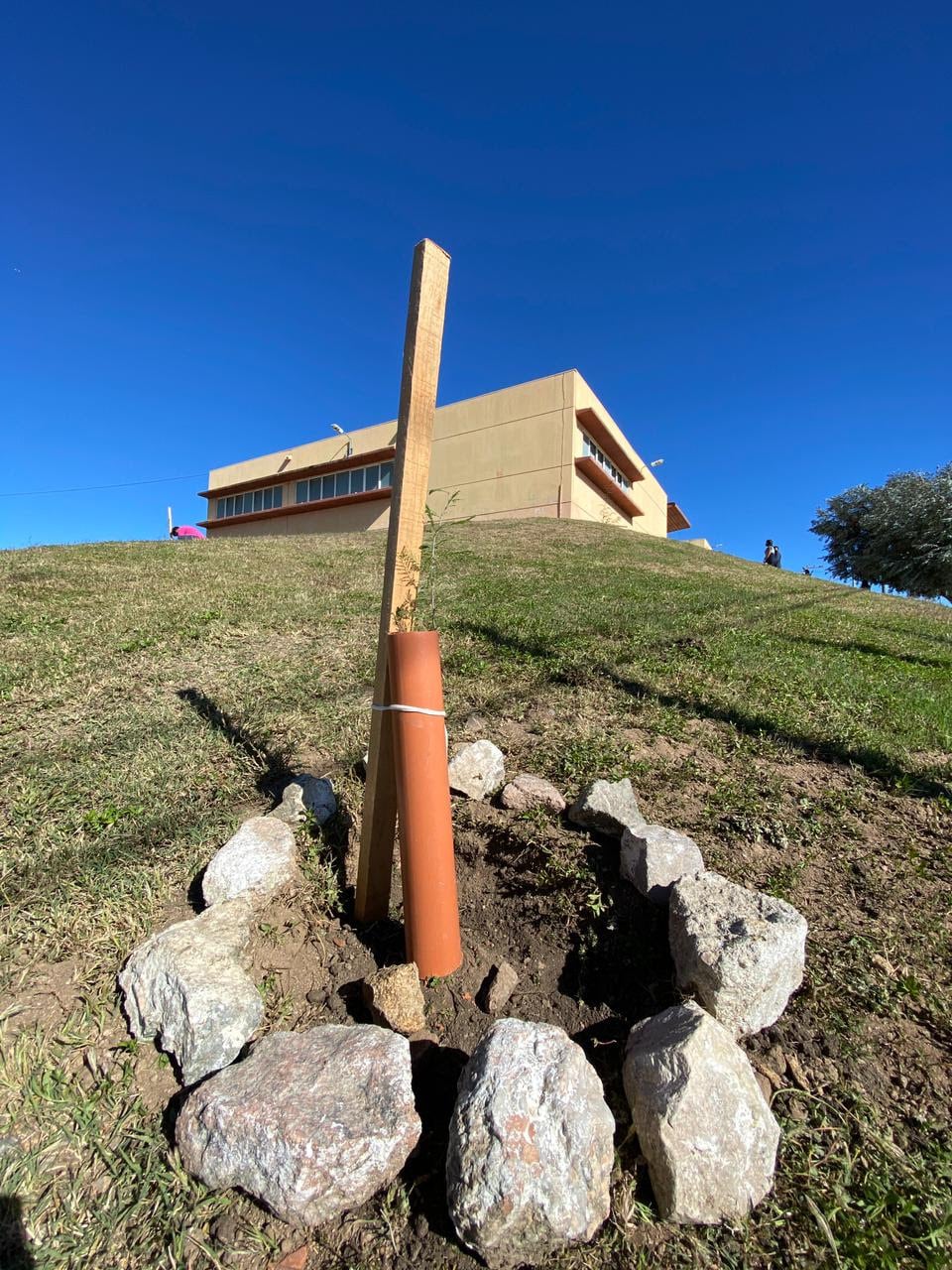 Nueva jornada de forestación en el IPET Nº 382 de barrio Altos del Valle.