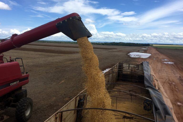 La Bolsa de Rosario pronosticó un ingreso de divisas por 26.330 millones de dólares en materia de exportaciones agropecuarias. (Reuter)